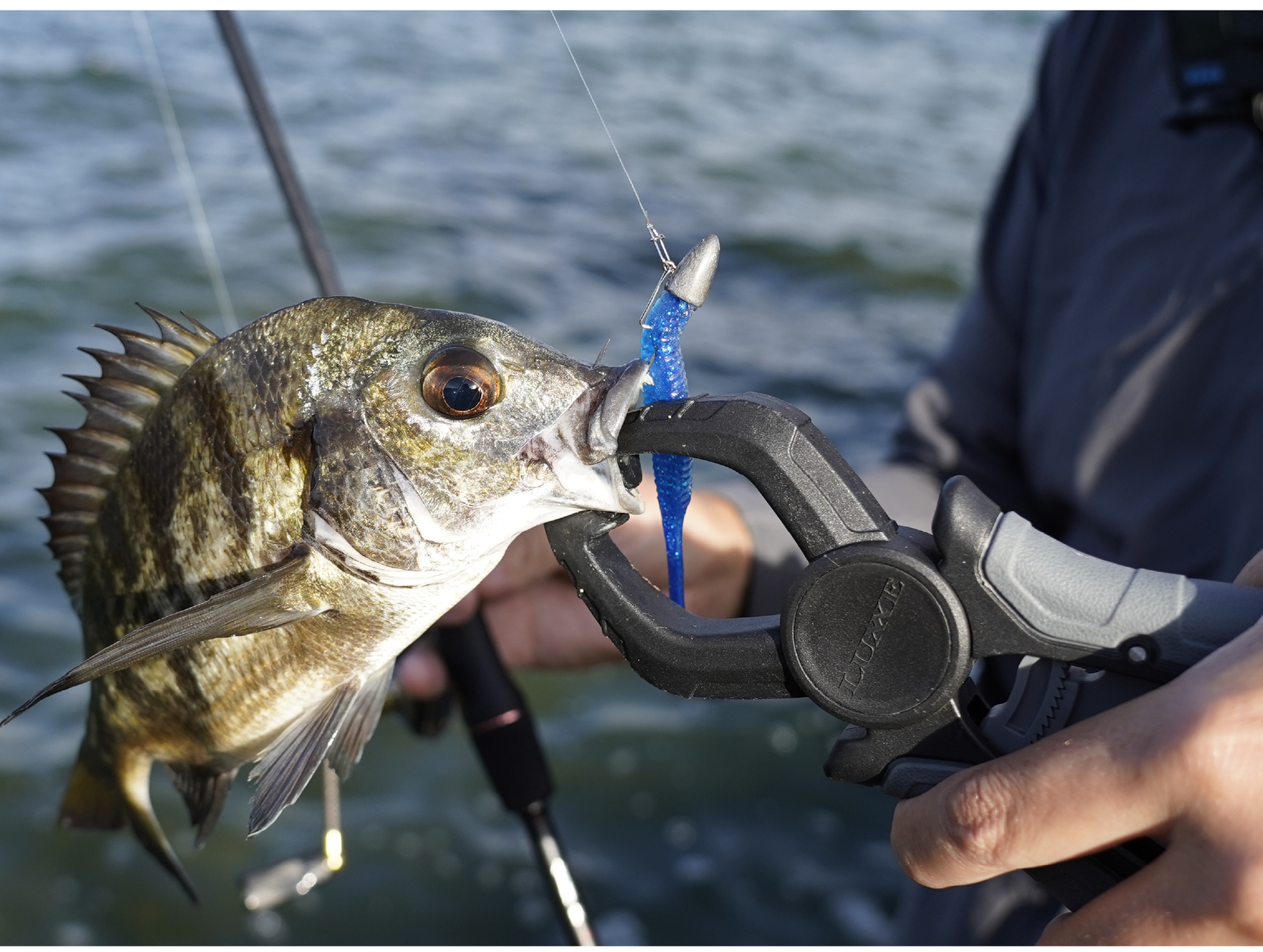 LUXXE (2026年春夏新製品・予約)がまかつ/ラグゼ フィッシュグリップ