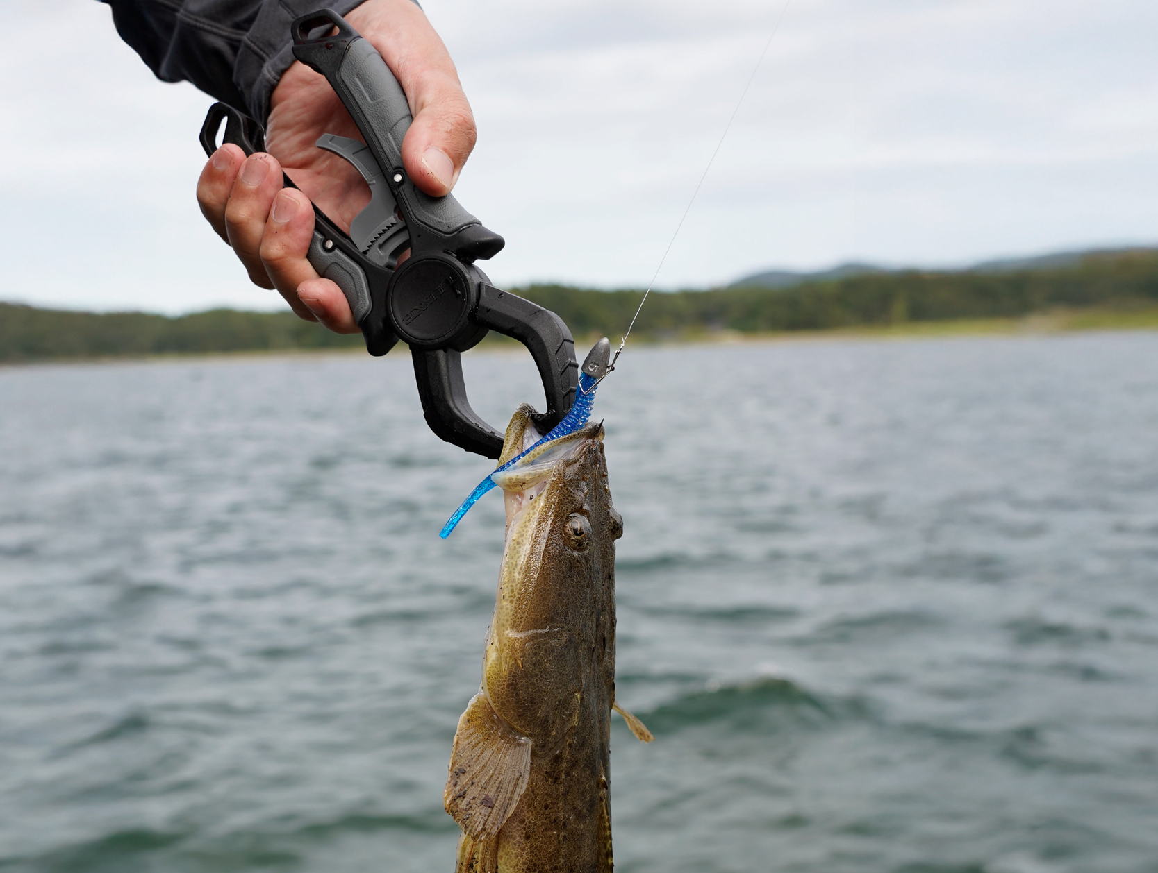 LUXXE (2026年春夏新製品・予約)がまかつ/ラグゼ フィッシュグリップ