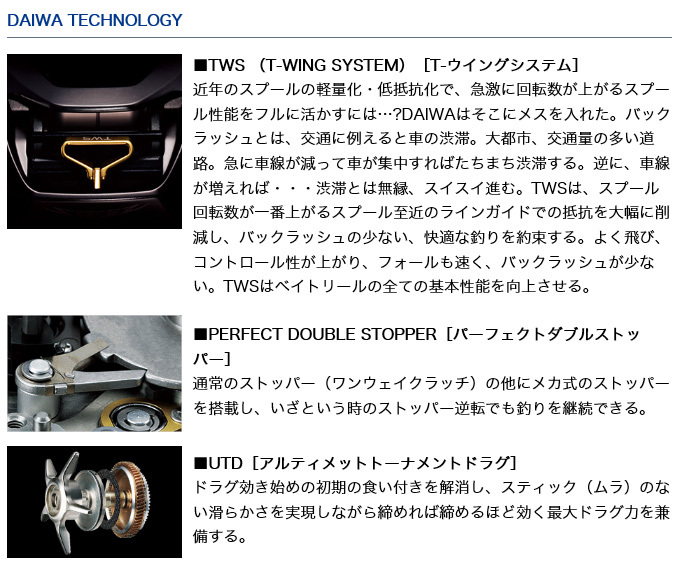 DAIWA（ダイワ） 21 タトゥーラ TW 300L (左ハンドル / ギア比：6.3