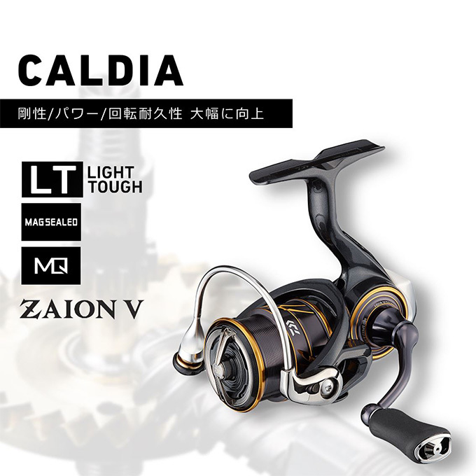 目玉商品】ダイワ 21 カルディア LT2500S-XH (2021年モデル