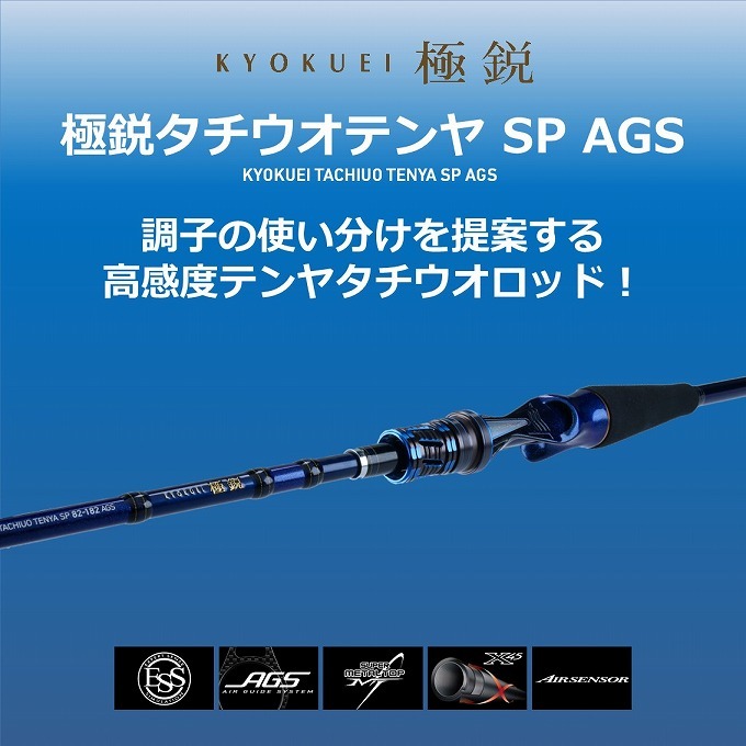 DAIWA（ダイワ） 【取り寄せ商品】 20 極鋭タチウオ テンヤSP (82S