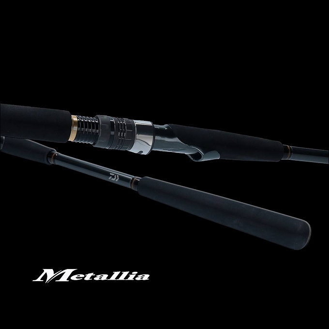 DAIWA（ダイワ） (7)【目玉商品】ダイワ 20 メタリアヒラメ MH-245・R