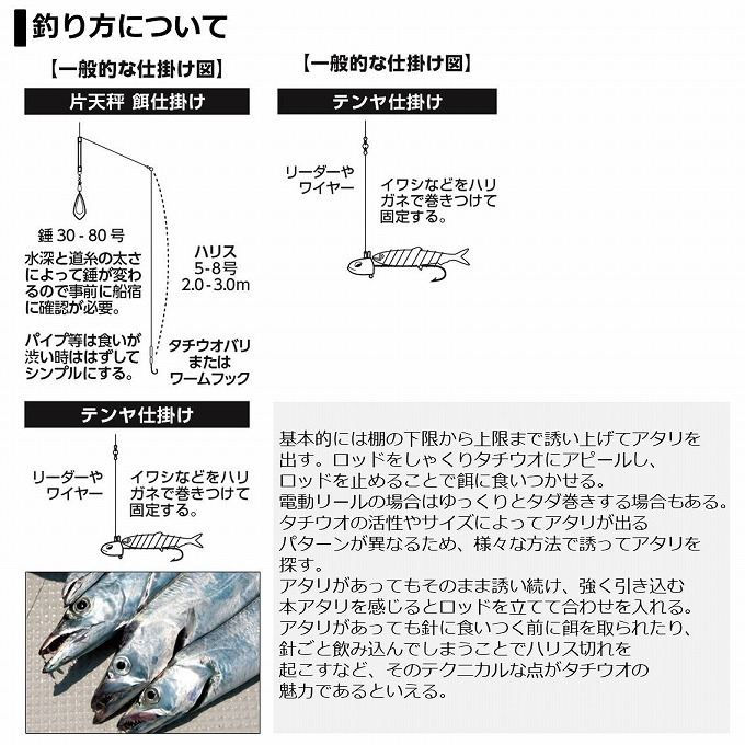 DAIWA（ダイワ） (7)【目玉商品】ダイワ 20 タチウオX ML 190・R (2020