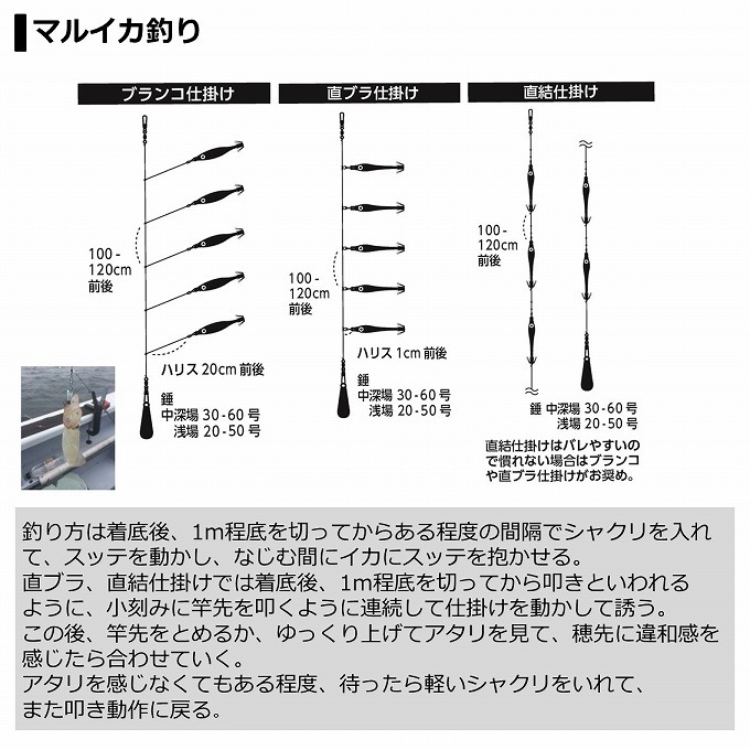 ダイワ C つり具のマルニシ Paypayモール店 通販 Paypayモール 21 マルイカ X S Mh 155 R 21年モデル 船竿 ロッド 22通販 Www Hiddencitysecrets Com Au