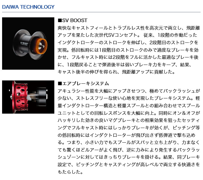 DAIWA（釣り） ダイワ 21 スティーズ LTD SV TW 1000L (左
