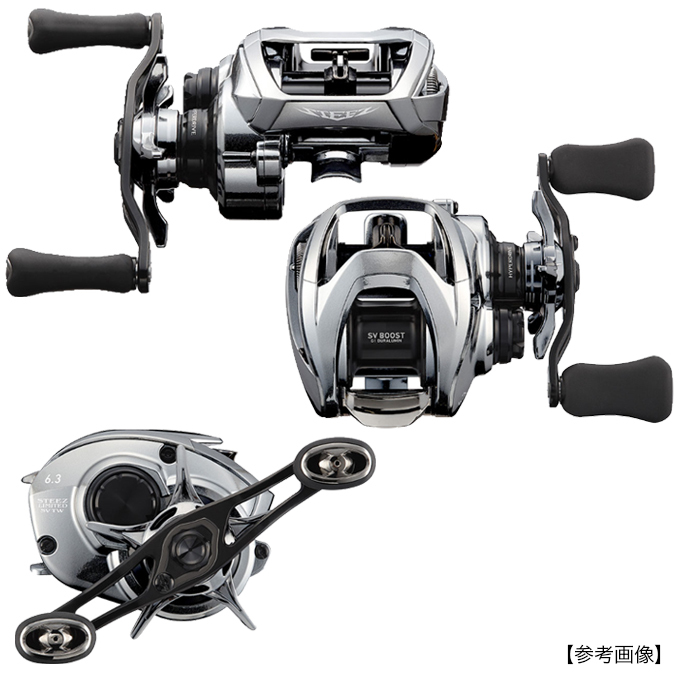 DAIWA（釣り） ダイワ 21 スティーズ LTD SV TW 1000H (右