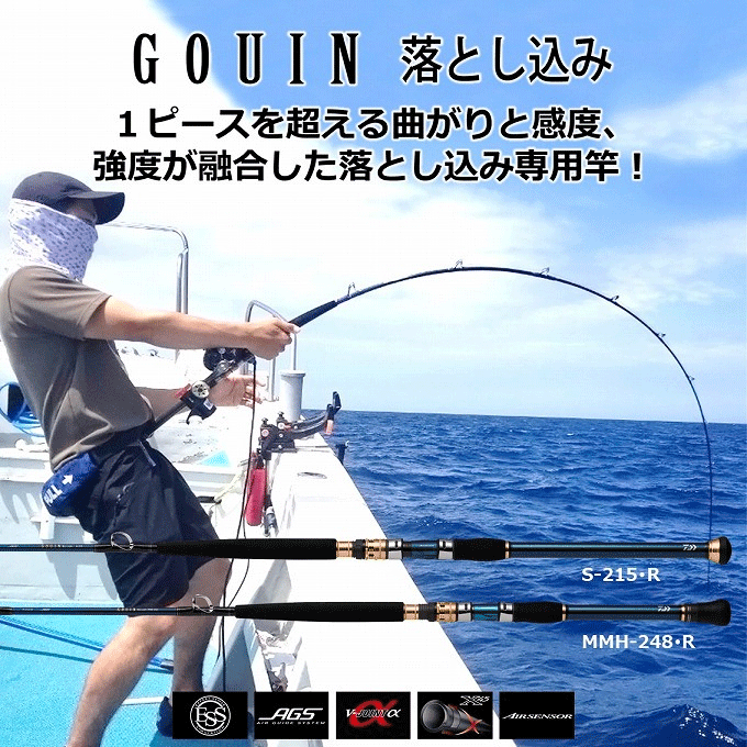 DAIWA（ダイワ） 【目玉商品】ダイワ ゴウイン 落とし込み S-215・R