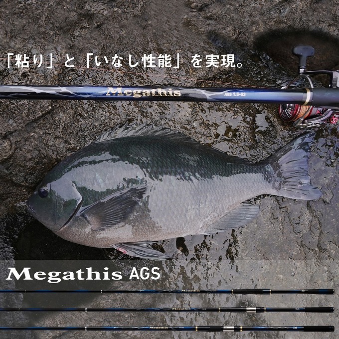 ダイワ メガディス AGS 2-53・N[21年モデル] - 釣具のポイント