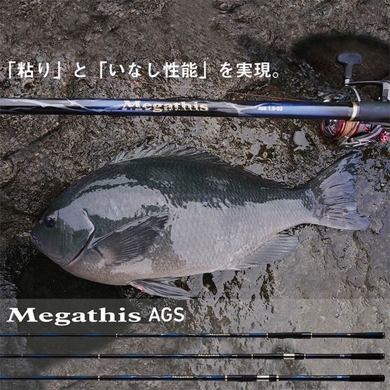 DAIWA（ダイワ） 【目玉商品】ダイワ 21 メガディス 3-53遠投・N (磯竿