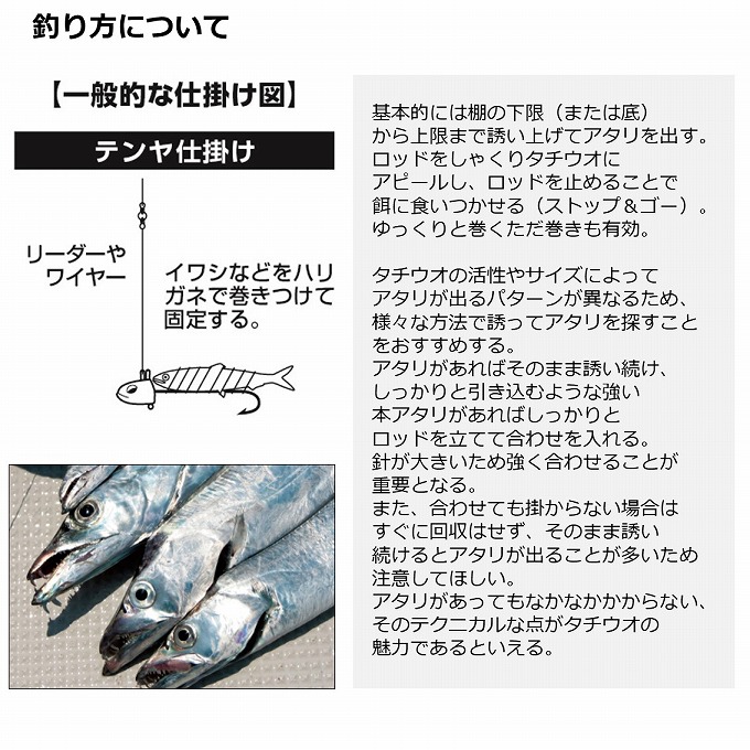 DAIWA（ダイワ） 【取り寄せ商品】 20 テンヤタチウオ X 73-180・R (船