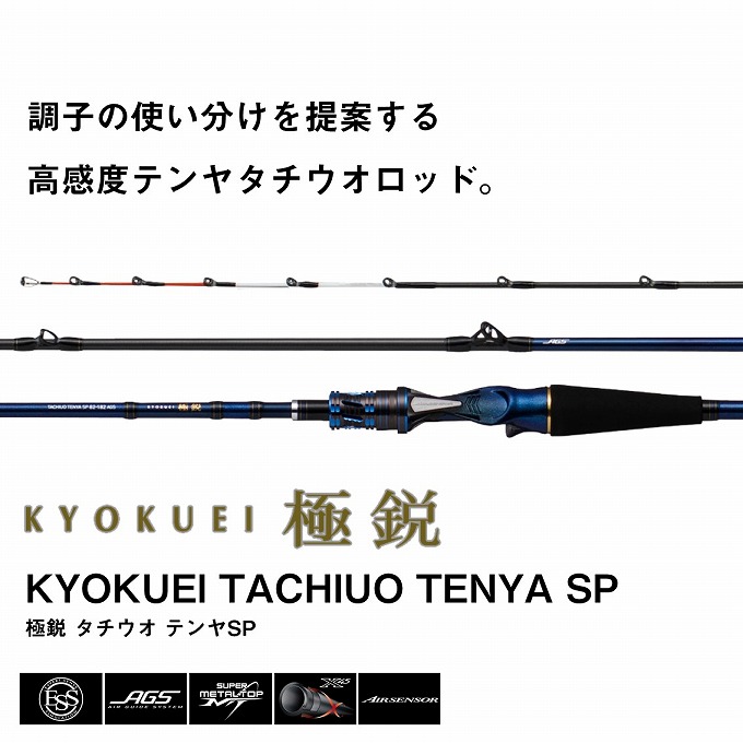 DAIWA（ダイワ） 【取り寄せ商品】 20 極鋭タチウオ テンヤSP 91H