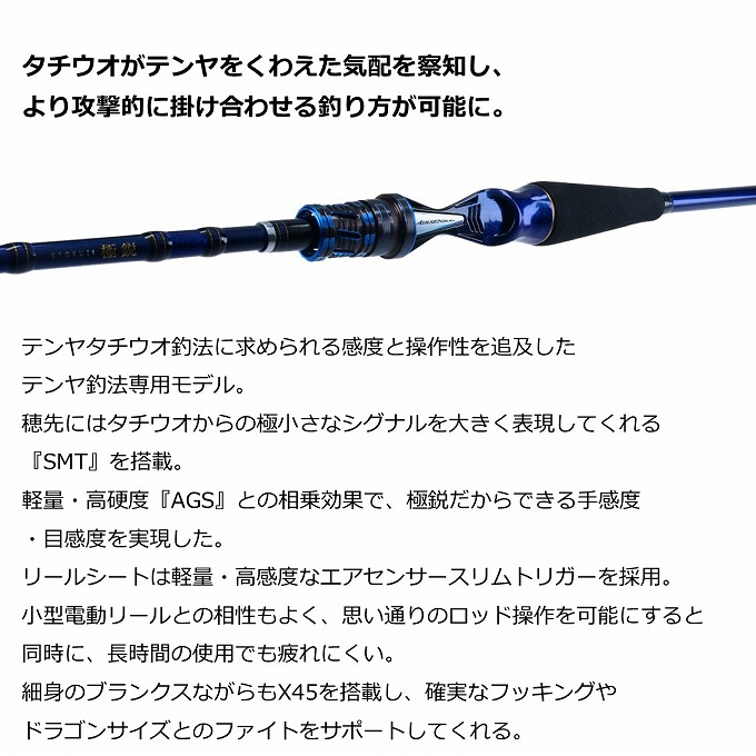 DAIWA（ダイワ） 【取り寄せ商品】 20 極鋭タチウオ テンヤSP 91H