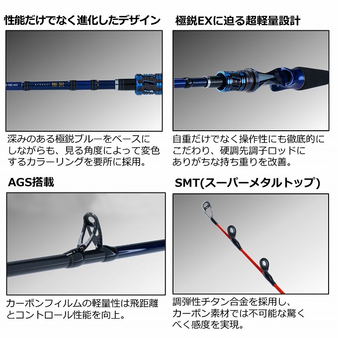 DAIWA（ダイワ） 【取り寄せ商品】 20 極鋭タチウオ テンヤSP 91H