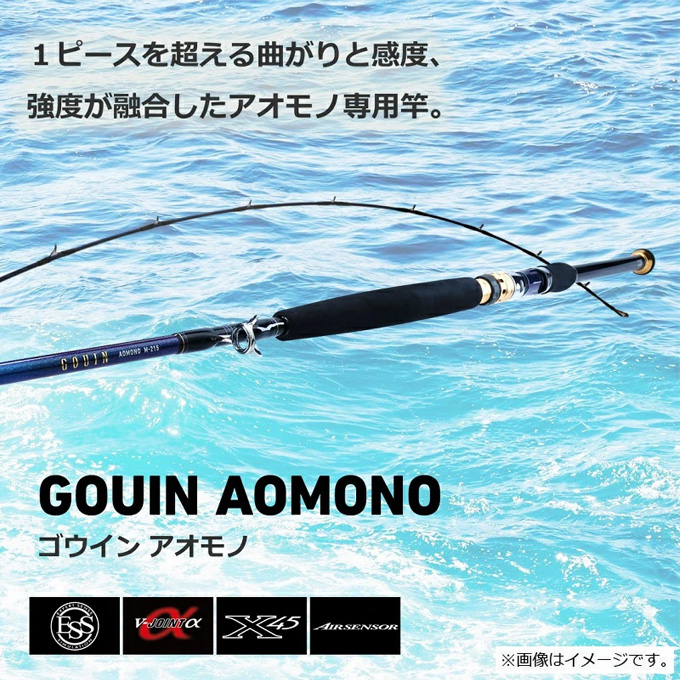 DAIWA（ダイワ） (7)【目玉商品】ダイワ 22 ゴウイン アオモノ M-235 