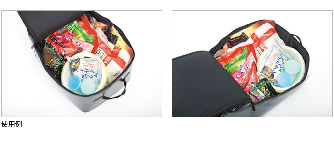 DAIWA（釣り） 【取り寄せ商品】 ダイワ へらリュック LT40 /(c