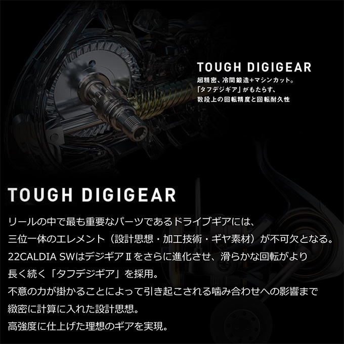 DAIWA（ダイワ） 【目玉商品】ダイワ 22 カルディア SW 10000-P (2023