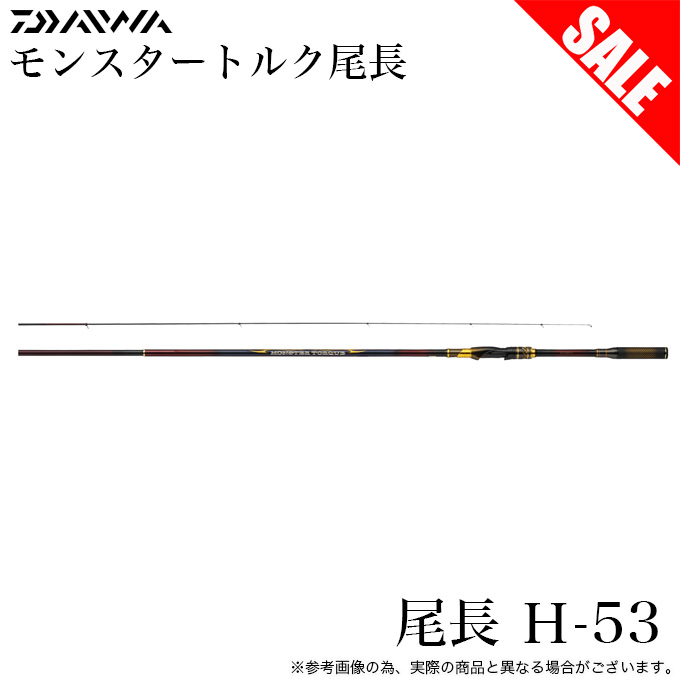 DAIWA（ダイワ） 【目玉商品】ダイワ 24 モンスタートルク 尾長 H-53
