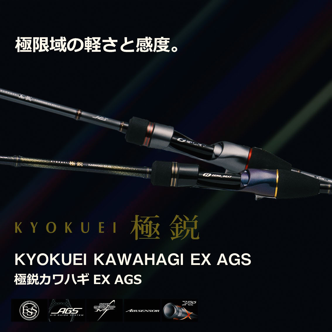 ダイワ(Daiwa) HZ 剣崎アキアジスペシャル 310V 05282024