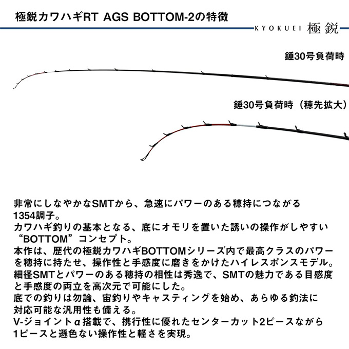 DAIWA（ダイワ） 25 極鋭 カワハギ RT AGS BOTTOM-2 (船竿) 2025年