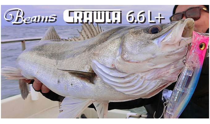 Fishman 【取り寄せ商品】 フィッシュマン ビームス クローラ (6.6L＋