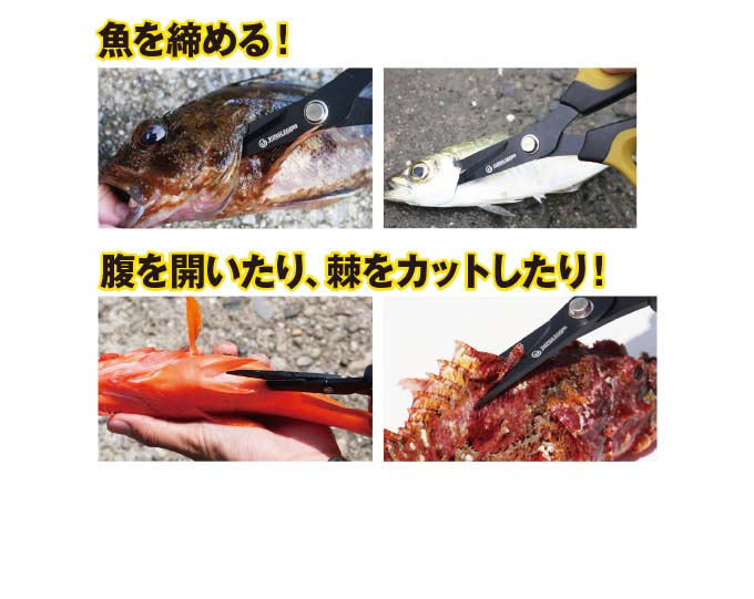 セール】 ひじきぱっぱ 大島食品 − 詰合せ さけぱっぱ わかめぱっぱ 各40袋入 ふりかけ