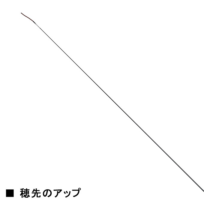 新品未使用 ダイワ マスターテンカラ L LT36 DAIWA（ダイワ） マスターテンカラ L LT36 / テンカラ竿 渓流釣り
