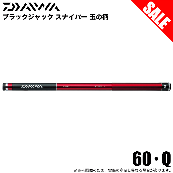 DAIWA（ダイワ） (7)【目玉商品】ダイワ ブラックジャックスナイパー玉