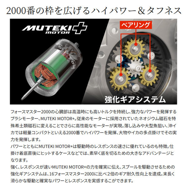 シマノ 24 フォースマスター 2000 右ハンドル (2024年モデル) 電動リール/船釣り /(5)