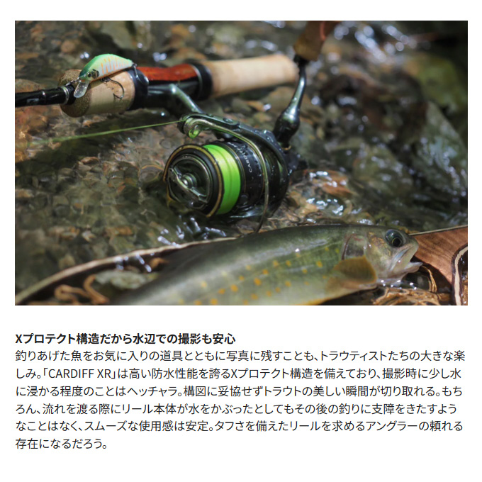 Amazon | シマノ(SHIMANO) トラウト スピニングリール 23