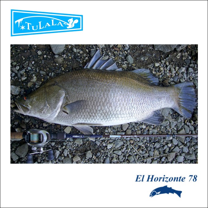 ツララ(TULALA) エルホリゾンテ 78(5) 【Σ05】 : つり具のマルニシWEB