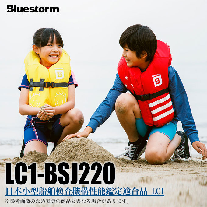 激安！BLUESTORM ライフジャケット ウェア