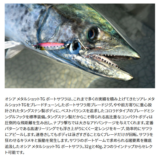 シマノ（SHIMANO） (8)【目玉商品】シマノ オシア メタルショット TG