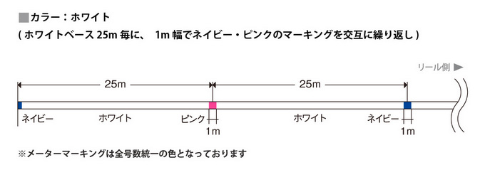 VARIVAS（バリバス） 【取り寄せ商品】 アバニ キャスティングPE