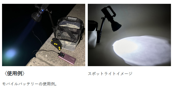 LUXXE 【取り寄せ商品】 がまかつ ラグゼ LESL1501 サーチライト