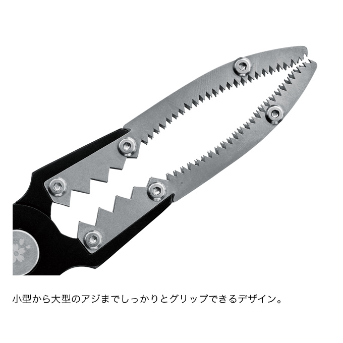 4549018717617_5.jpg