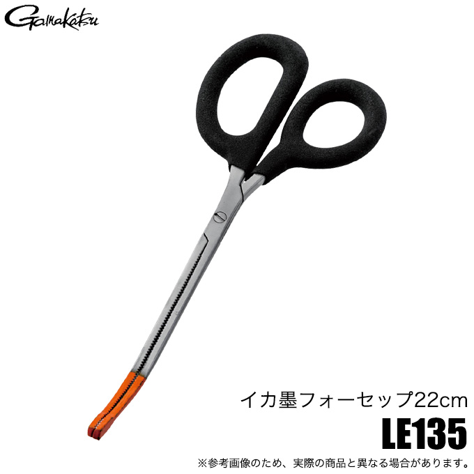 イカ 41a5ONFTllL._UF894,1000_QL80_.jpg