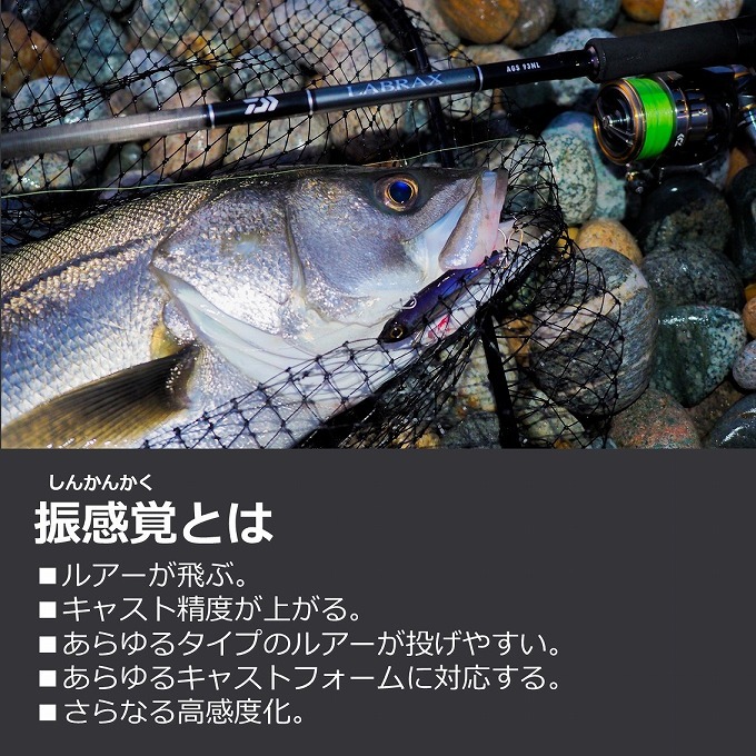 LABRAX (7)【目玉商品】ダイワ 21 ラブラックス AGS 96ML (シーバス