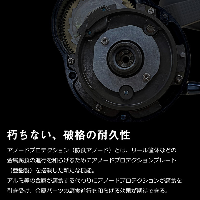 DAIWA（ダイワ） 22 ソルティガ 15HL-SJ (左ハンドル) 2022年モデル