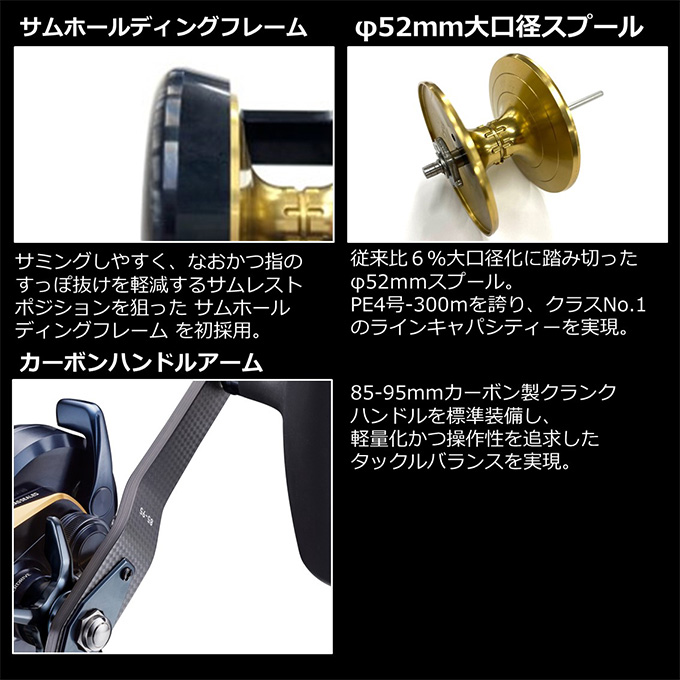 DAIWA（ダイワ） 22 ソルティガ 15HL-SJ (左ハンドル) 2022年モデル