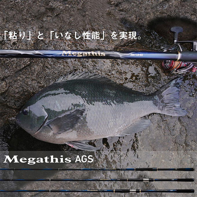 DAIWA（釣り） 【目玉商品】ダイワ 21 メガディス 3-53HR・N (磯