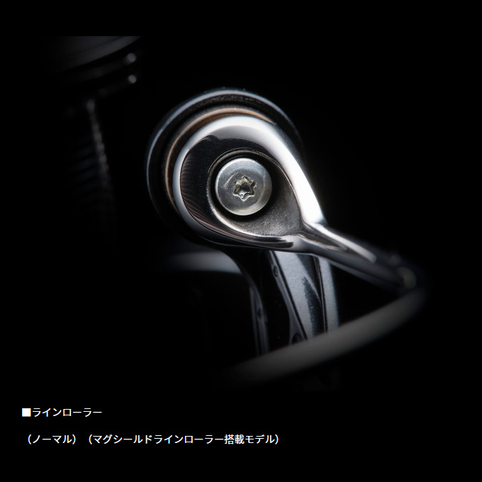 DAIWA（ダイワ） 24 セルテート LT3000-CH (2024年モデル) スピニング
