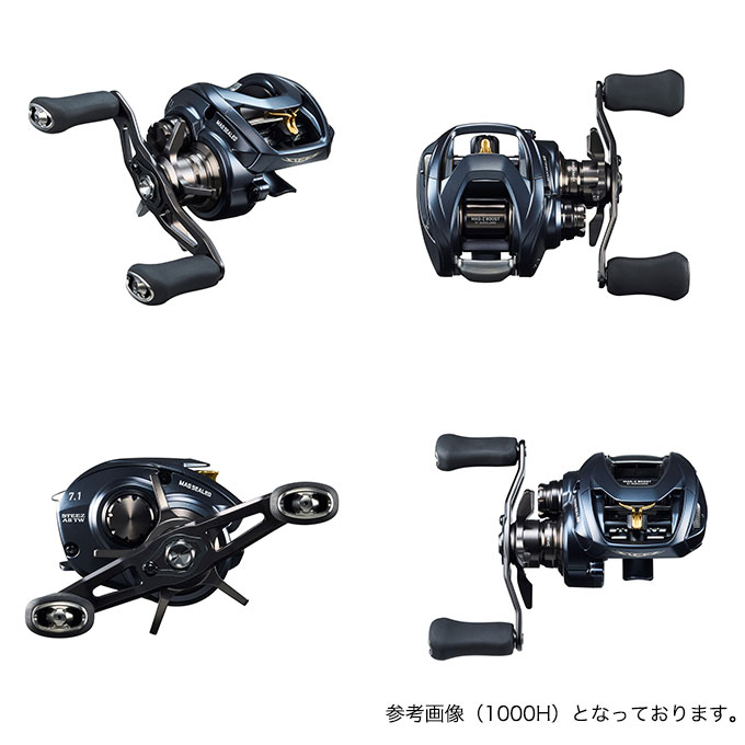 DAIWA（ダイワ） STEEZ (スティーズ) A II TW 1000HL (左ハンドル