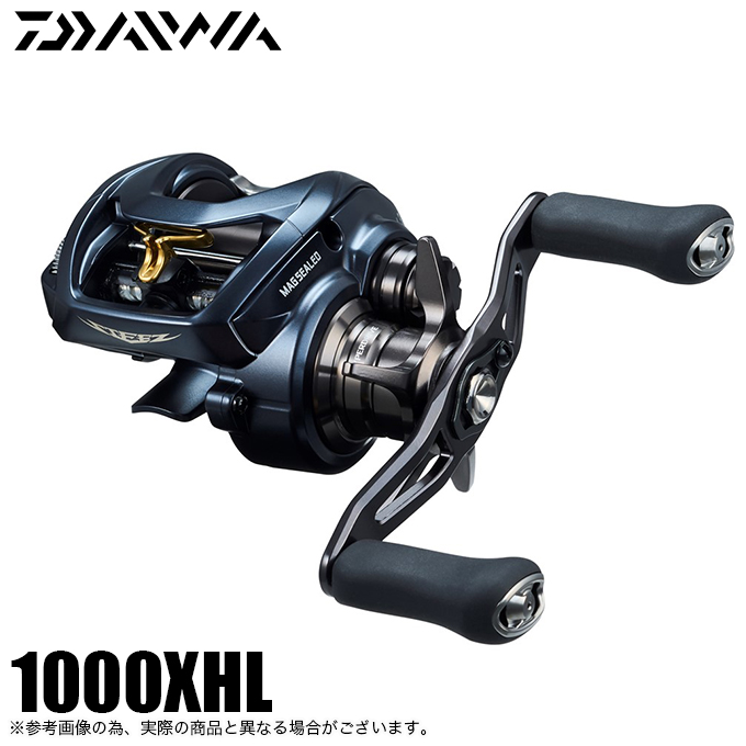 DAIWA（ダイワ） STEEZ (スティーズ) A II TW 1000XHL (左ハンドル
