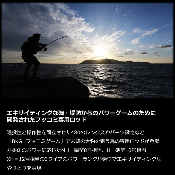 DAIWA（ダイワ） バトルゲーム BKG (ブッコミゲーム) T MH480 (磯竿/遠