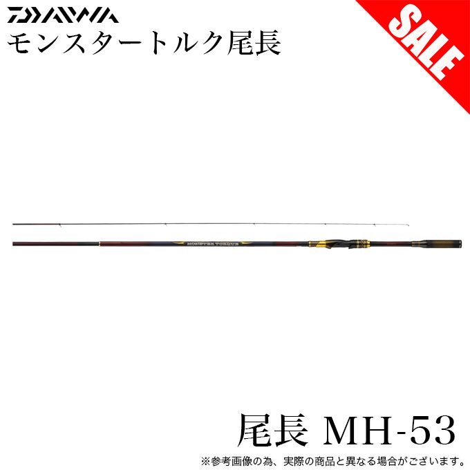 DAIWA（ダイワ） 【目玉商品】ダイワ 24 モンスタートルク 尾長 MH-53