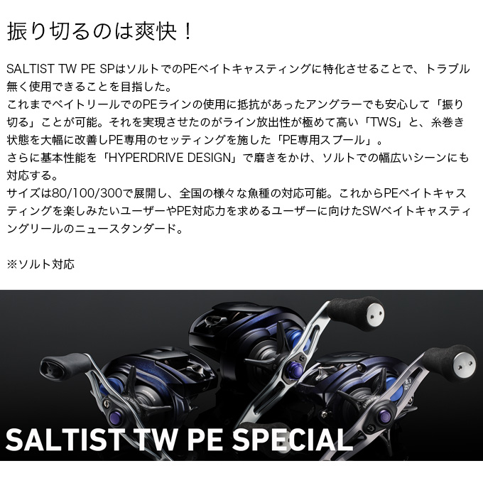 DAIWA（ダイワ） 【目玉商品】ダイワ 23 ソルティスト TW 300XH PE