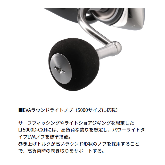 DAIWA（ダイワ） 【目玉商品】ダイワ 24 ルビアス LT5000D-CXH (2024年