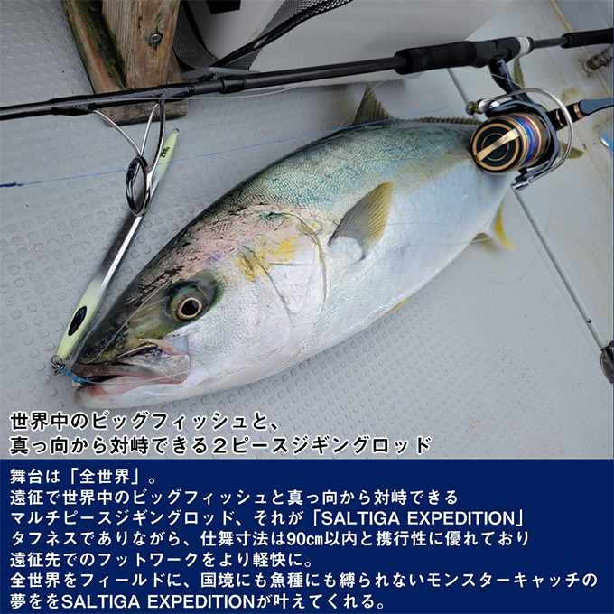 DAIWA（ダイワ） 25 ソルティガ J EXPEDITION 50S-6 スピニングモデル
