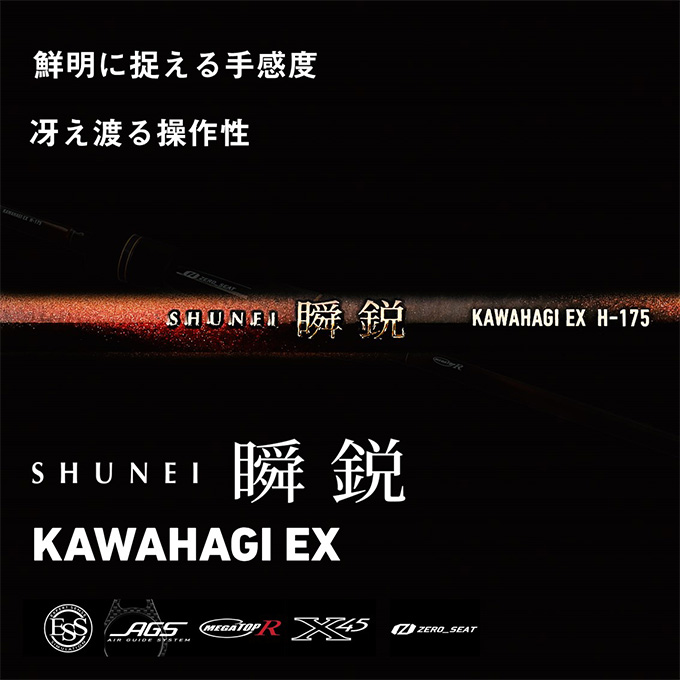 DAIWA（釣り） ダイワ 24 瞬鋭カワハギ EX H-175 (船竿) 2024年