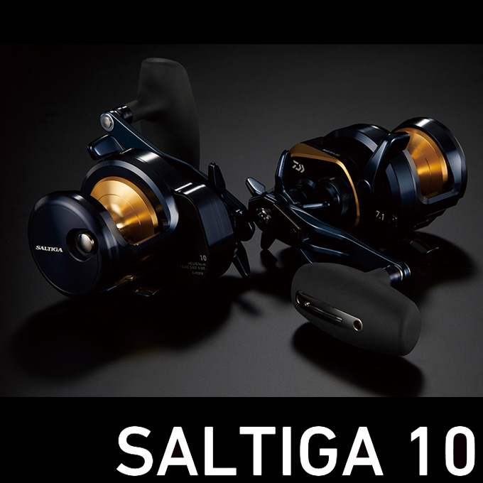 DAIWA（ダイワ） (5)ダイワ 25 ソルティガ 10H 右ハンドル (2025年